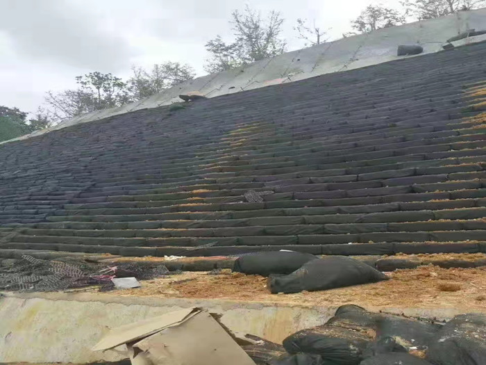 生態(tài)袋的功能與應(yīng)用