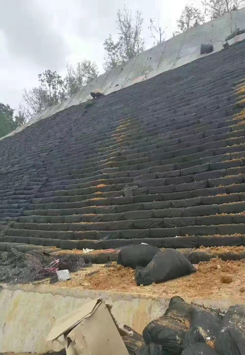 生態袋規格與應用原理